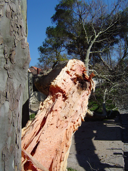 storm damage