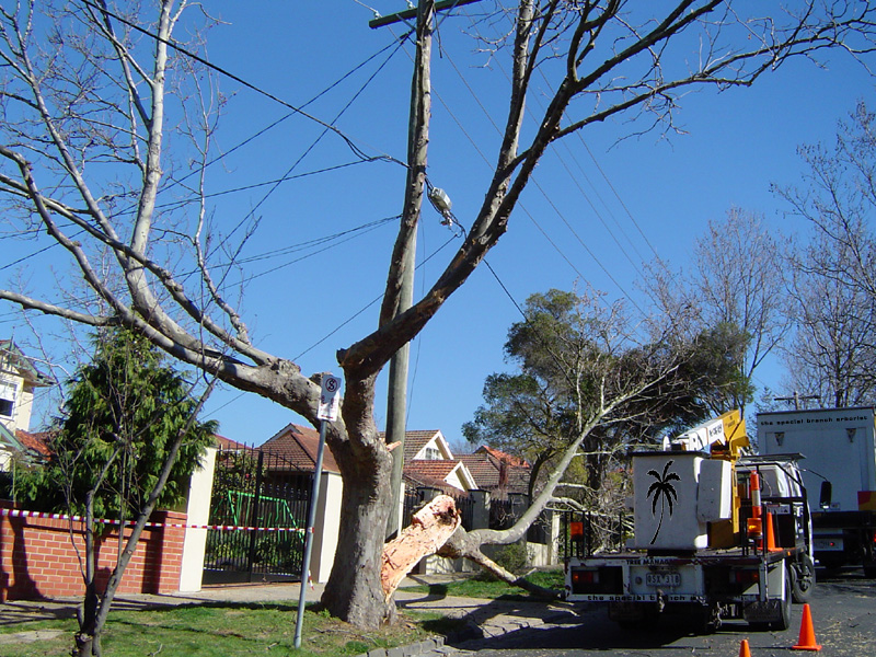 storm damage